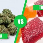 THCA vs THC Side efects