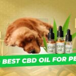 Best Cbd oil for pets