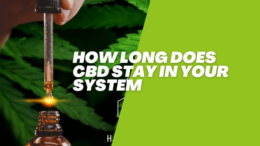 Discover How Long Does CBD Stay in Your System