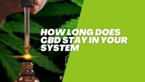 How Long Does CBD Stay in Your System
