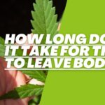 how long does it take for thc to leave body