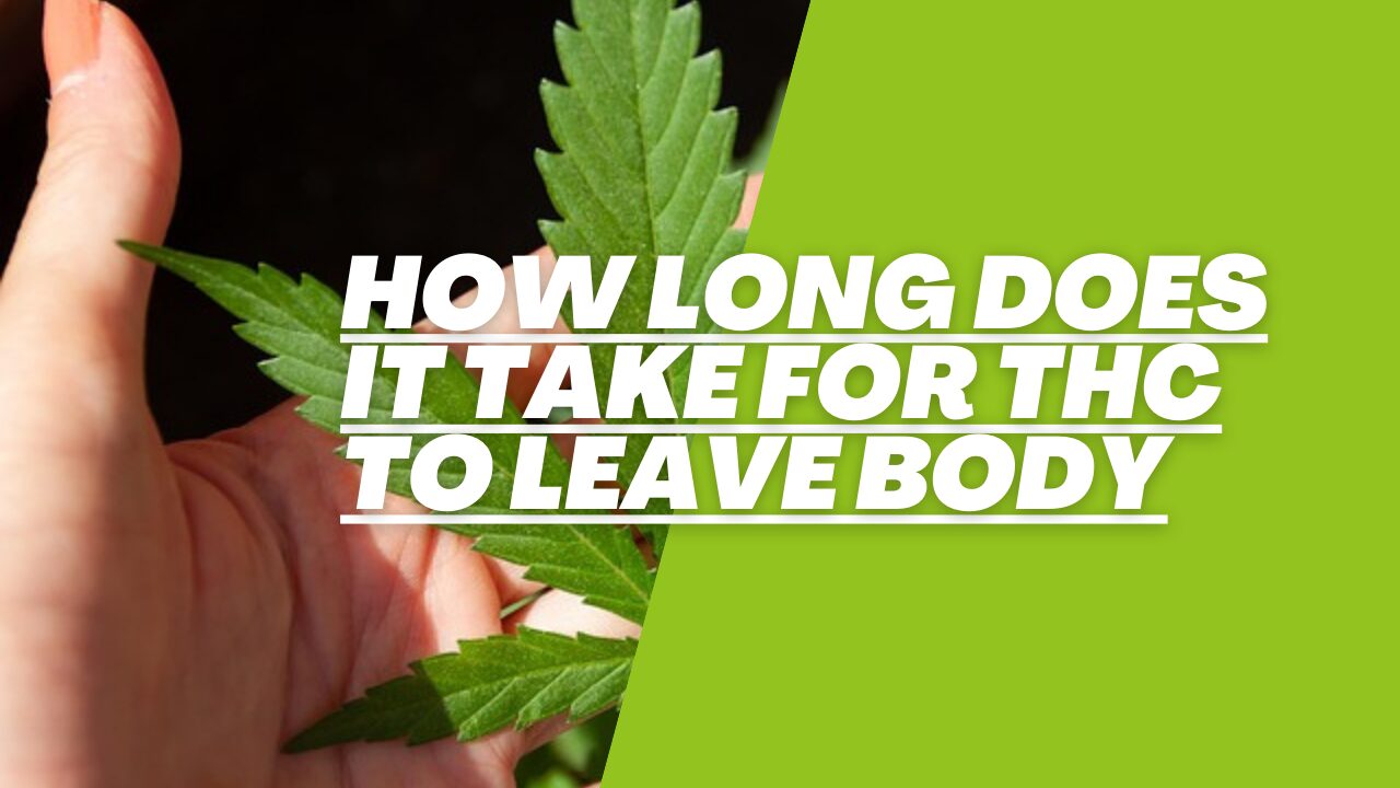 how long does it take for thc to leave body